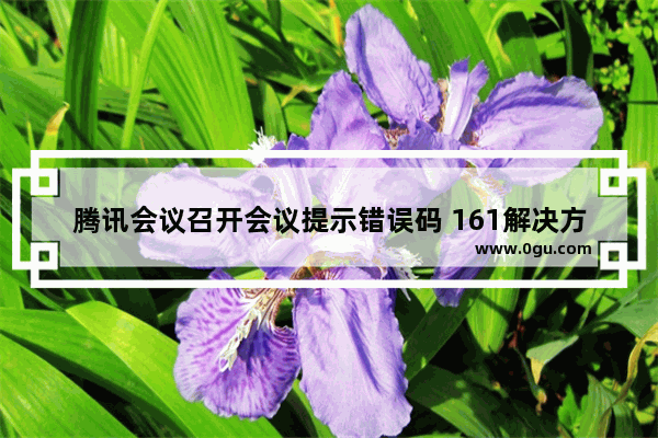 腾讯会议召开会议提示错误码 161解决方法