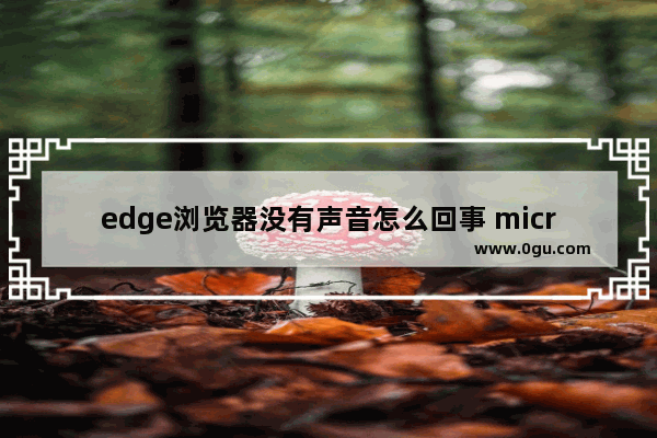 edge浏览器没有声音怎么回事 microsoft edge浏览器没有声音如何解决