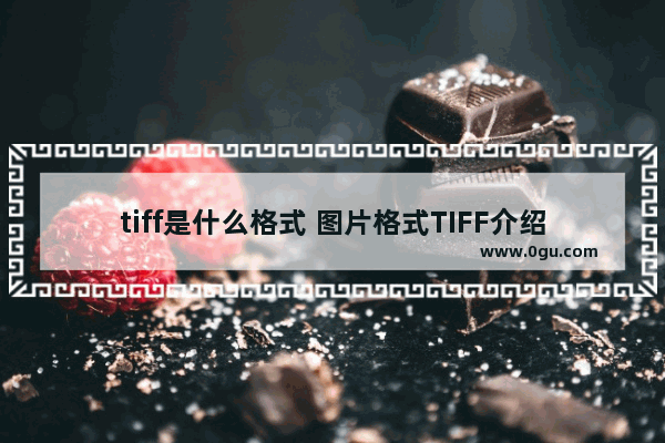 tiff是什么格式 图片格式TIFF介绍