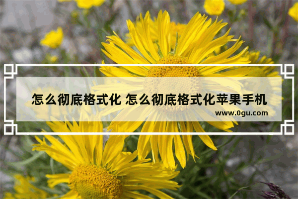 怎么彻底格式化 怎么彻底格式化苹果手机