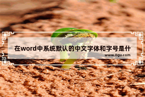 在word中系统默认的中文字体和字号是什么