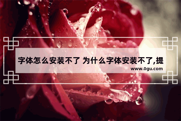 字体怎么安装不了 为什么字体安装不了,提示字体无效