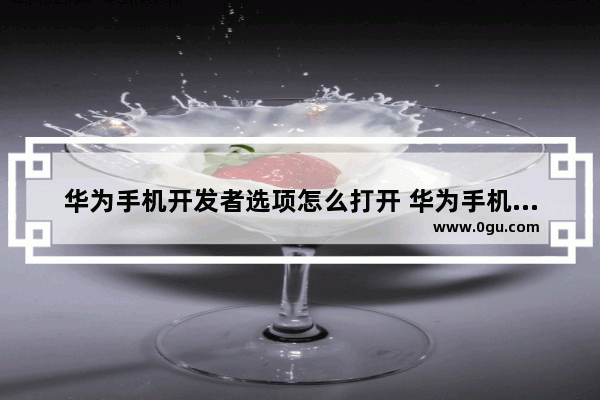 华为手机开发者选项怎么打开 华为手机进入开发者模式步骤
