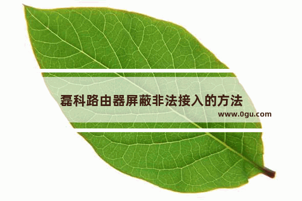 磊科路由器屏蔽非法接入的方法