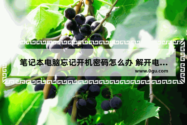 笔记本电脑忘记开机密码怎么办 解开电脑开机密码详细介绍