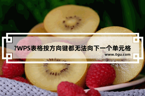 ?WPS表格按方向键都无法向下一个单元格移动怎么办 WPS表格解决方向键无法使用的教程