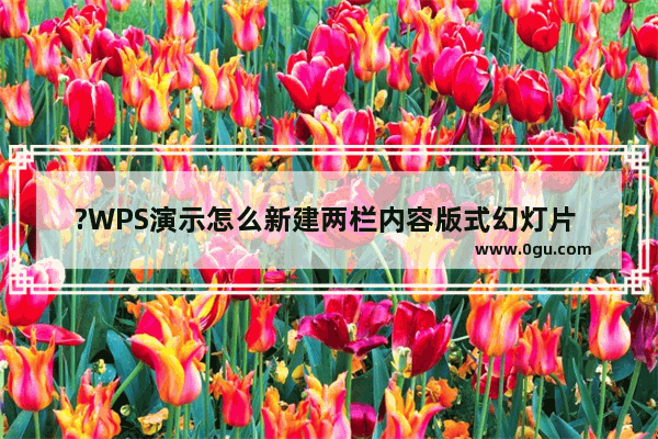?WPS演示怎么新建两栏内容版式幻灯片 WPS演示文稿电脑版新建两栏内容版式幻灯片的教程