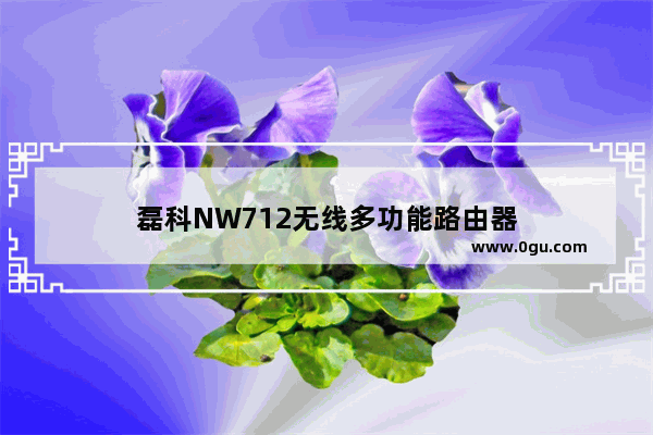 磊科NW712无线多功能路由器