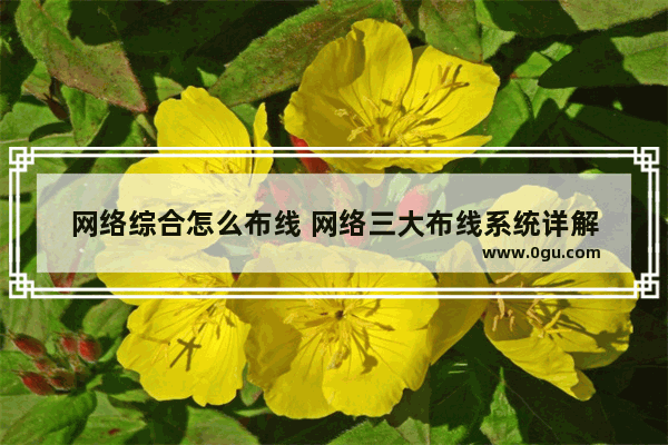 网络综合怎么布线 网络三大布线系统详解