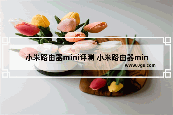 小米路由器mini评测 小米路由器mini开箱评测图解及配置介绍