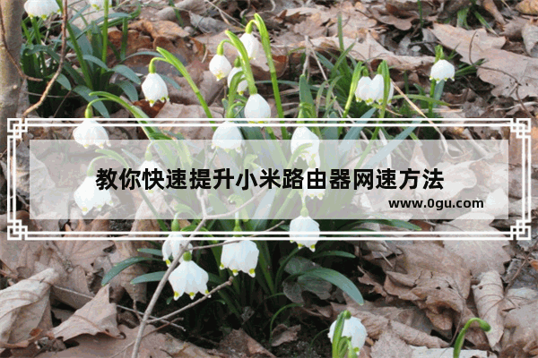 教你快速提升小米路由器网速方法