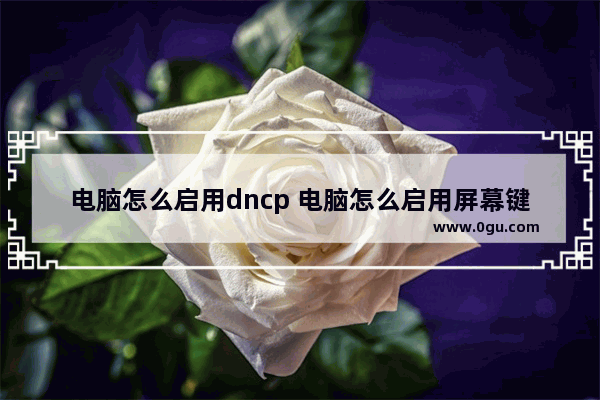 电脑怎么启用dncp 电脑怎么启用屏幕键盘