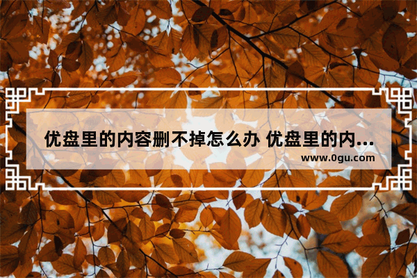 优盘里的内容删不掉怎么办 优盘里的内容删不掉怎么办呀