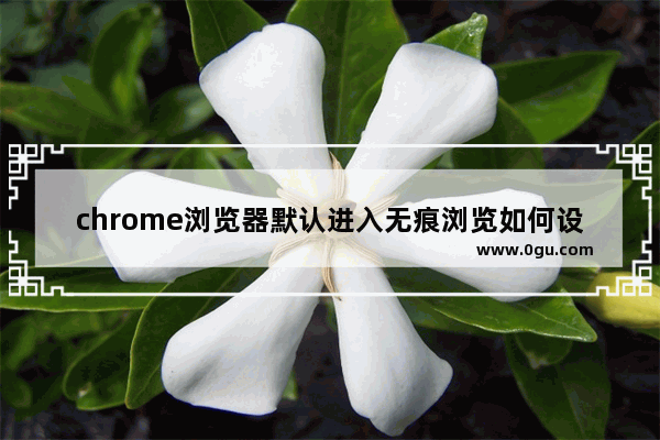 chrome浏览器默认进入无痕浏览如何设置 chorme设置默认进入无痕模式步骤