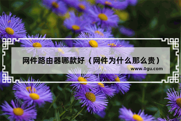 网件路由器哪款好（网件为什么那么贵）