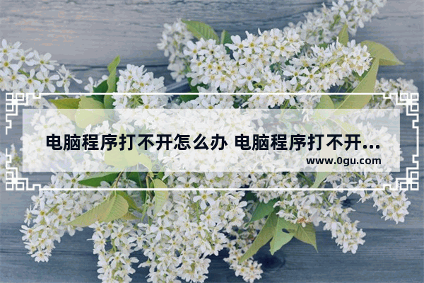 电脑程序打不开怎么办 电脑程序打不开没反应怎么办