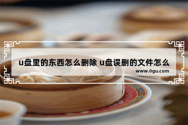 u盘里的东西怎么删除 u盘误删的文件怎么找回