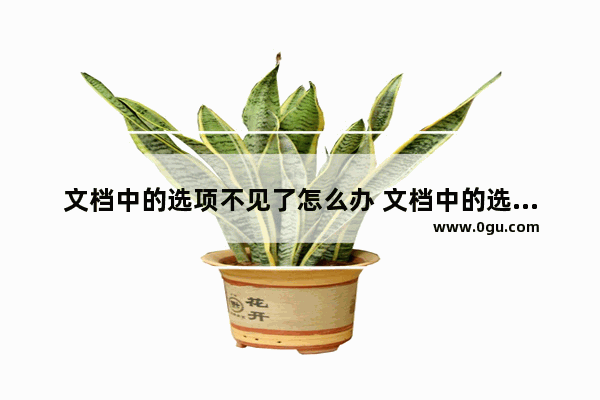 文档中的选项不见了怎么办 文档中的选项不见了怎么办呀