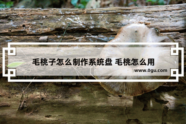 毛桃子怎么制作系统盘 毛桃怎么用