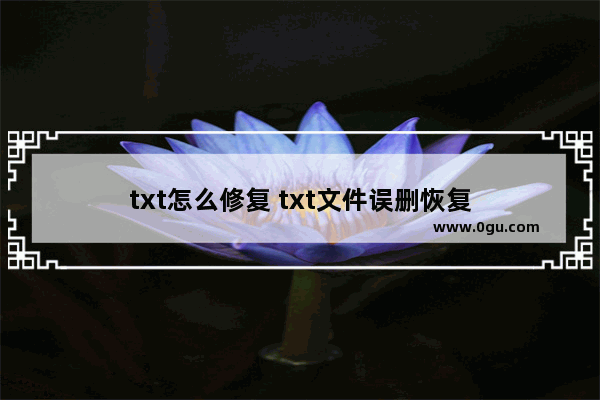 txt怎么修复 txt文件误删恢复