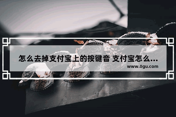 怎么去掉支付宝上的按键音 支付宝怎么取消按键震动