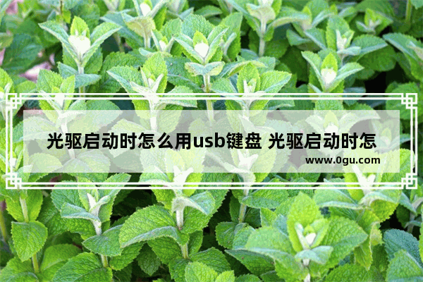 光驱启动时怎么用usb键盘 光驱启动时怎么用usb键盘连接