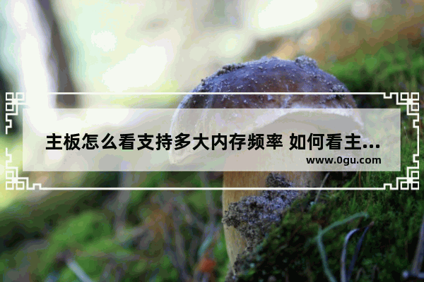 主板怎么看支持多大内存频率 如何看主板支持多少内存