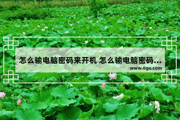 怎么输电脑密码来开机 怎么输电脑密码来开机呢