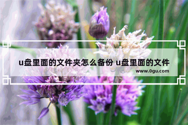 u盘里面的文件夹怎么备份 u盘里面的文件怎么备份文件