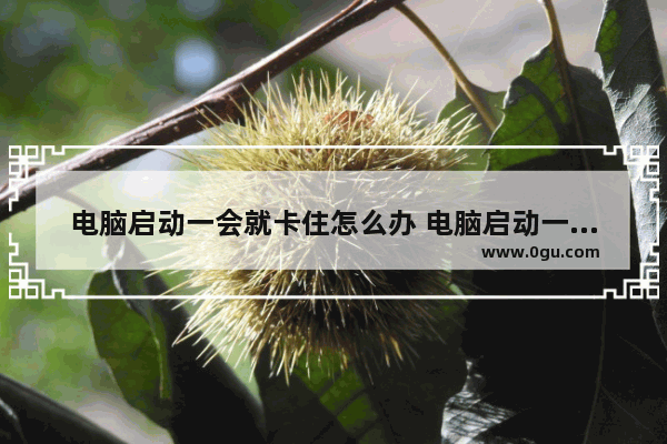 电脑启动一会就卡住怎么办 电脑启动一会儿就卡死