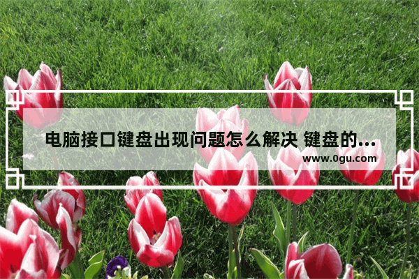 电脑接口键盘出现问题怎么解决 键盘的接口坏了怎么办