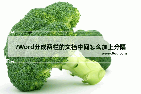 ?Word分成两栏的文档中间怎么加上分隔线 Word文档为分栏添加分隔线的方法教程