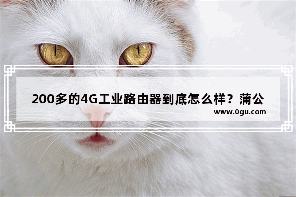 200多的4G工业路由器到底怎么样？蒲公英R300A开箱测评(蒲公英r3005g)