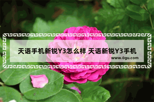 天语手机新锐Y3怎么样 天语新锐Y3手机介绍