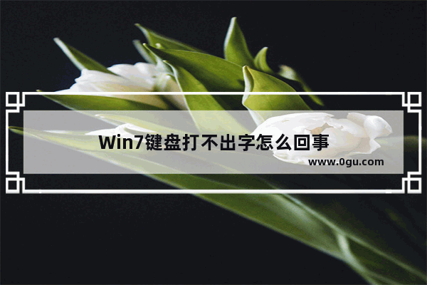 Win7键盘打不出字怎么回事