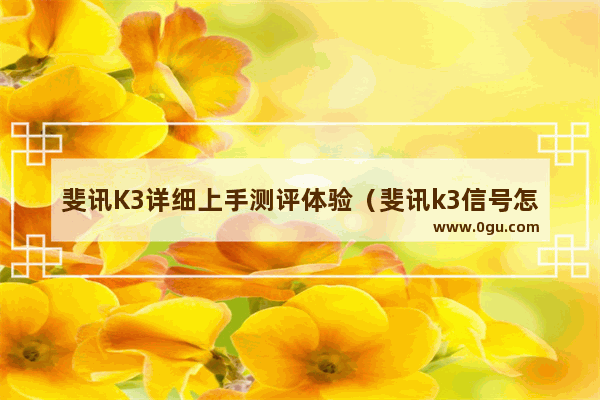 斐讯K3详细上手测评体验（斐讯k3信号怎么样）