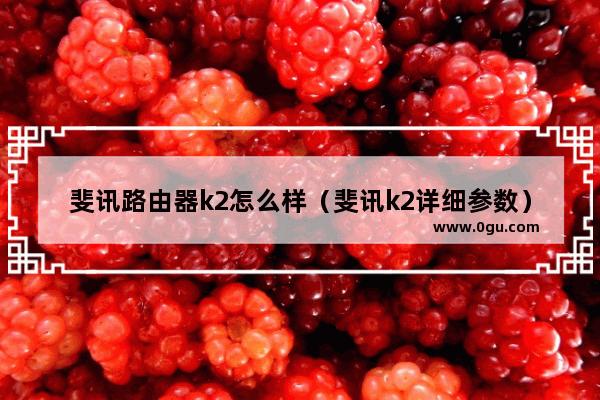 斐讯路由器k2怎么样（斐讯k2详细参数）
