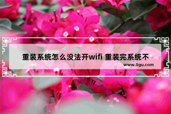 重装系统怎么没法开wifi 重装完系统不能连wifi