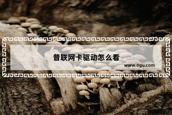 普联网卡驱动怎么看