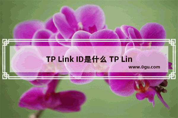 TP Link ID是什么 TP Link ID有什么作用