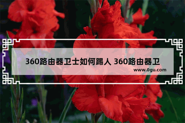 360路由器卫士如何踢人 360路由器卫士踢人方法分享