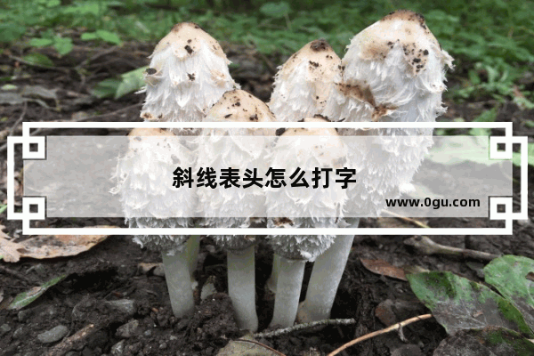 斜线表头怎么打字 