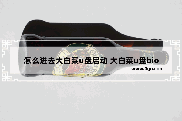 怎么进去大白菜u盘启动 大白菜u盘bios启动教程