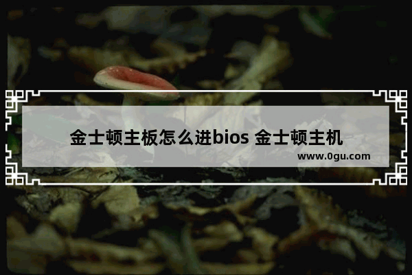 金士顿主板怎么进bios 金士顿主机