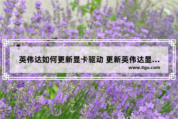 英伟达如何更新显卡驱动 更新英伟达显卡驱动的步骤