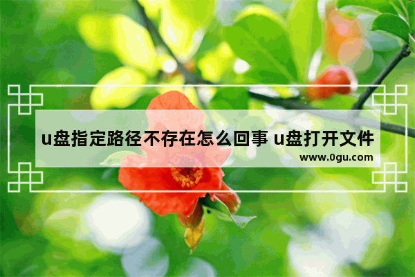 u盘指定路径不存在怎么回事 u盘打开文件显示指定路径不存在