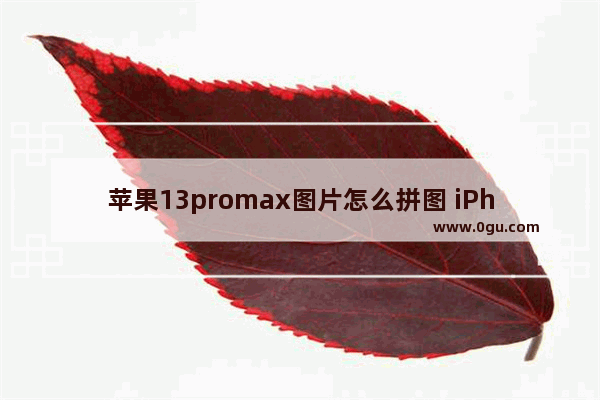 苹果13promax图片怎么拼图 iPhone快捷指令帮你一键拼图