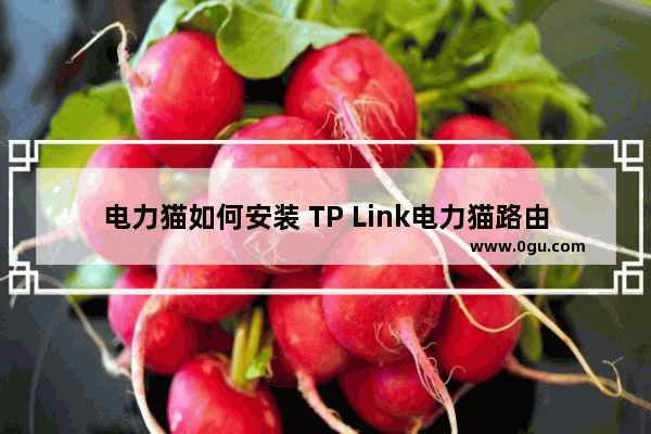 电力猫如何安装 TP Link电力猫路由安装方法【介绍】