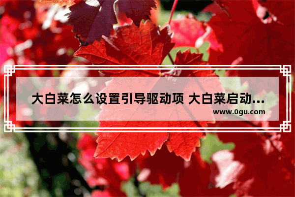 大白菜怎么设置引导驱动项 大白菜启动盘自带驱动吗