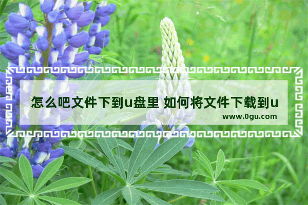 怎么吧文件下到u盘里 如何将文件下载到u盘上